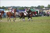 UKPA  NC Sat_1142